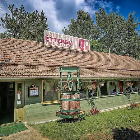 Hotel Csillag