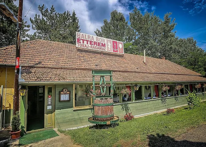 Hotel Csillag